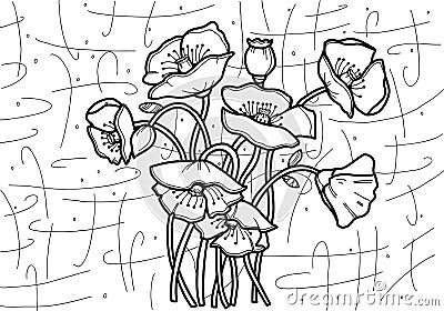 Poppies Black and white image. Â  Art line. On the background art. Stock Photo